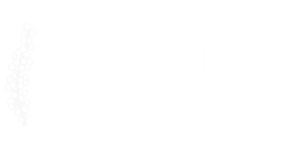 Nama Fiji logo