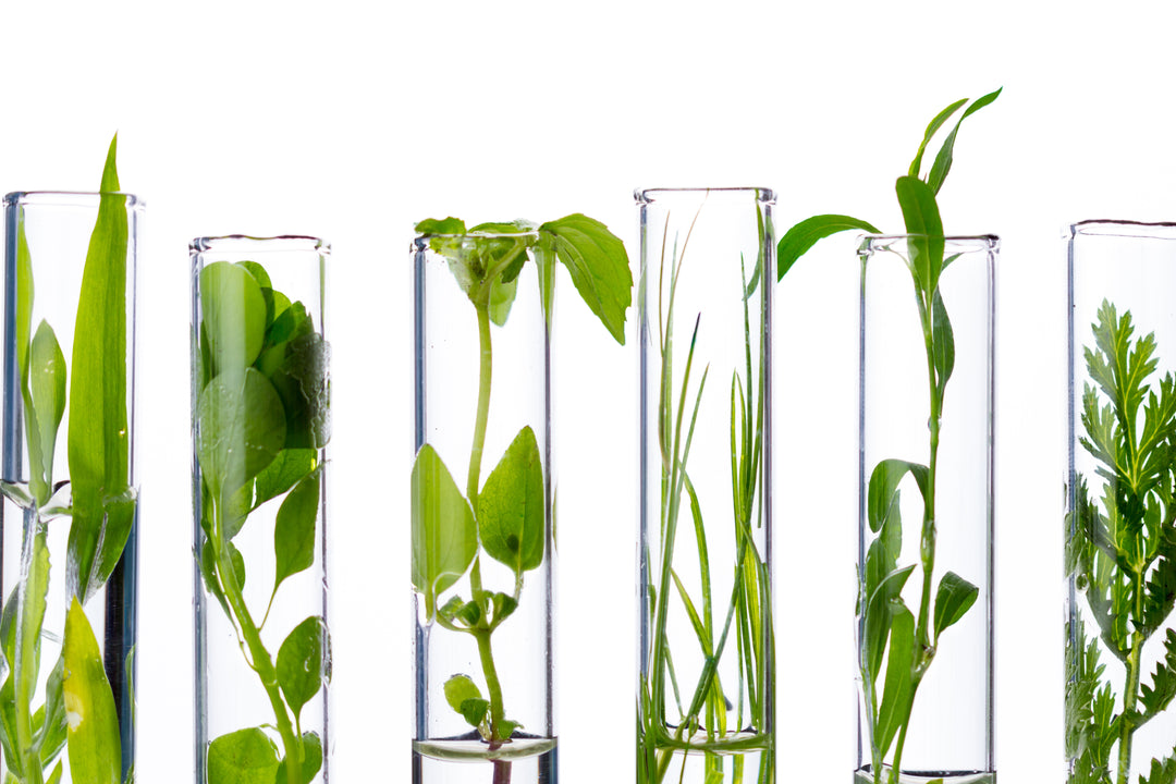 Nurturing Our Planet and Your Skin